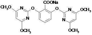 2431559117840715.png 圖片10.png