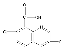 5571559115873318.png 圖片5.png